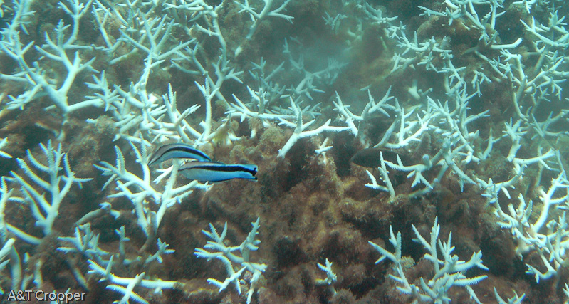 Filename: R0013705