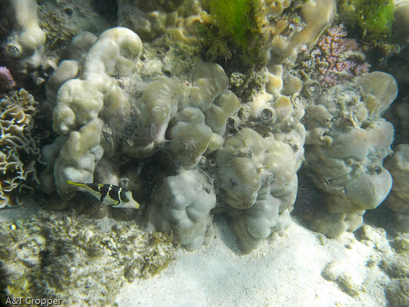 Filename: R0013767