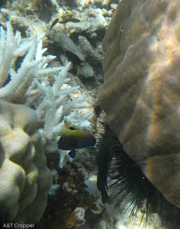 Filename: R0013783